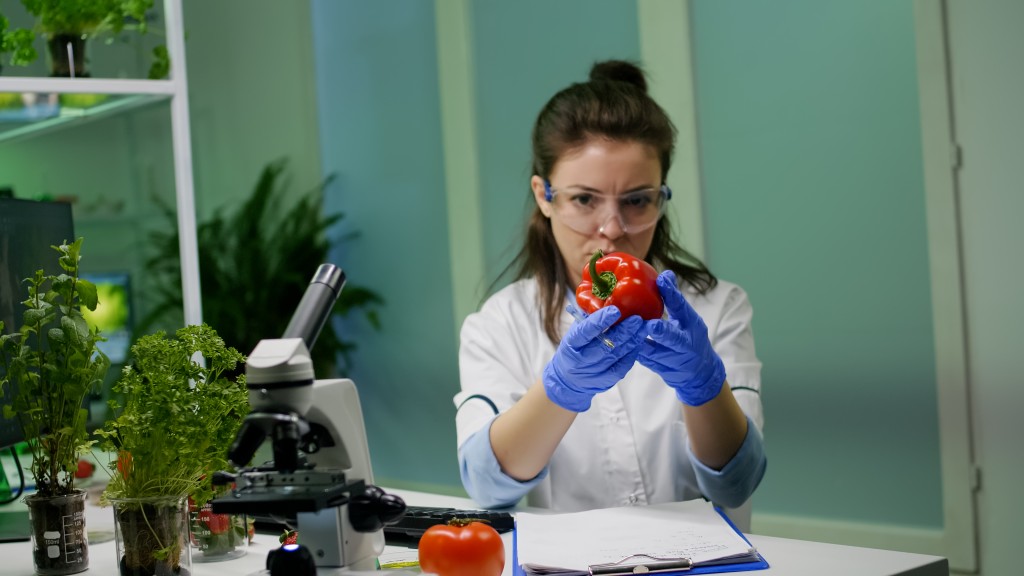Laborphasen sind der Teil des Studiums, der sich nicht ins Wohnzimmer verlegen lässt. Wie viele es sind und ob sie Pflicht sind, unterscheidet die Anbieter stärker als der Preis. Wissenschaftlerin untersucht eine Paprika im Labor und notiert die Ergebnisse